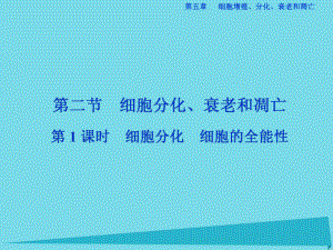 高中生物 第五章 細(xì)胞增殖、分化、衰老和凋亡 第二節(jié) 細(xì)胞分化、細(xì)胞衰老和調(diào)亡（第1課時(shí)）細(xì)胞分化 細(xì)胞的全能性 蘇教版必修1