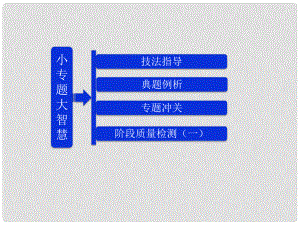 吉林省長五中高中物理 第一章 小專題 大智慧 課件 選修31