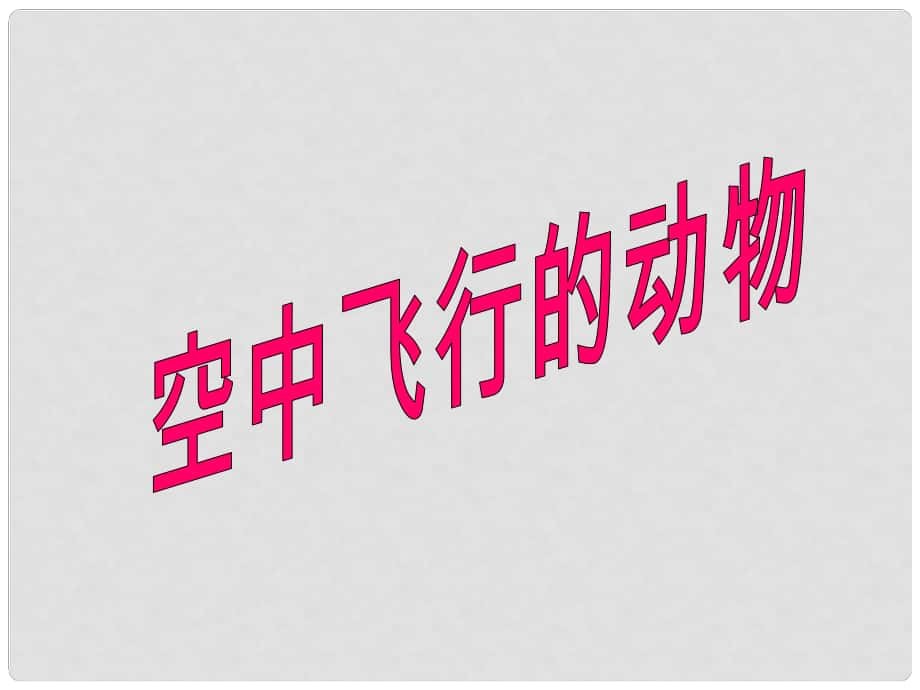 山東省臨沭縣八年級生物《空中飛行的動物》課件 新人教版_第1頁