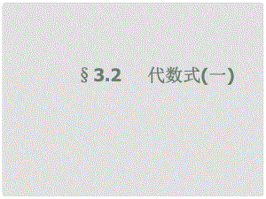 江蘇省昆山市兵希中學(xué)七年級數(shù)學(xué)上冊 3.2 代數(shù)式課件1 蘇科版