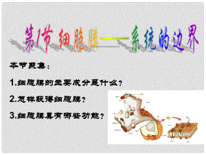广东省揭阳一中高一生物《细胞膜 系统的边界》课件