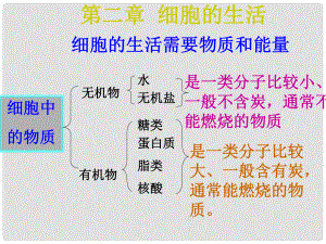 山東省泰安市岱岳區(qū)大汶口鎮(zhèn)柏子中學七年級生物《細胞的生活》課件