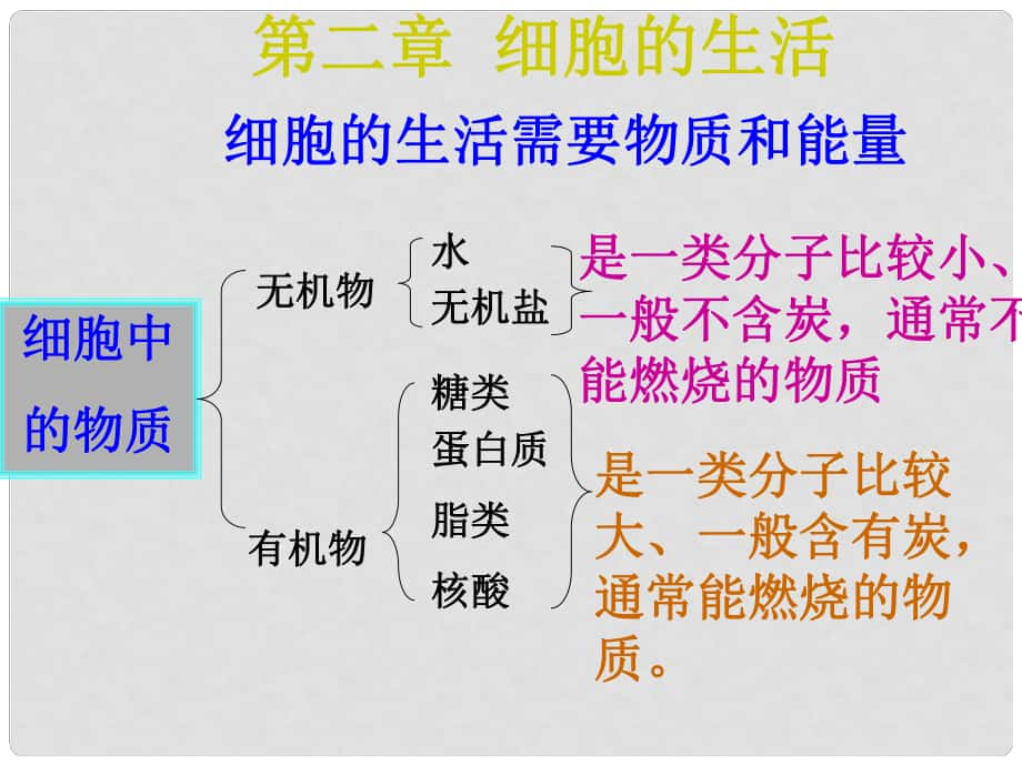 山東省泰安市岱岳區(qū)大汶口鎮(zhèn)柏子中學(xué)七年級(jí)生物《細(xì)胞的生活》課件_第1頁(yè)