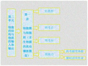 高中生物一輪復習 第二單元 第一講細胞膜與細胞核(含生物膜的流動鑲嵌模型)課件 新人教版必修1