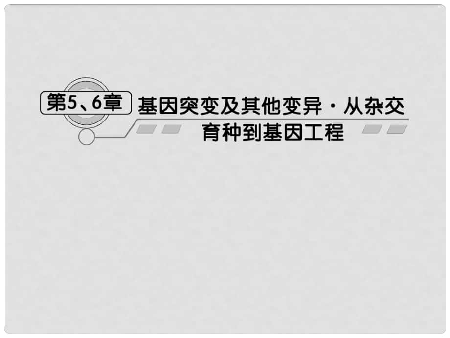 高考生物一輪復(fù)習(xí) 第5、6章第1課時(shí)基因突變和基因重組課件 新人教版必修2_第1頁(yè)