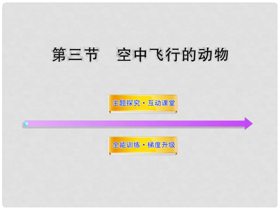 八年級生物上冊 第五單元 第一章 第三節(jié) 空中飛行的動物課件 新人教版_第1頁