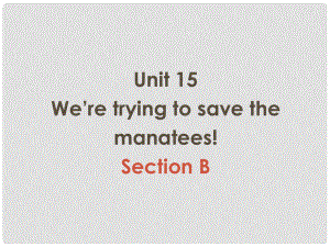 九年级英语上册 Unit 15《We are trying to save the manatess》Section B 课件 人教新目标版