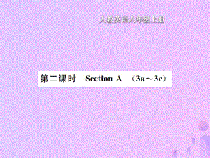 八年級英語上冊 Unit 3 I am more outgoing than my sister（第2課時）Section A習(xí)題 （新版）人教新目標(biāo)版