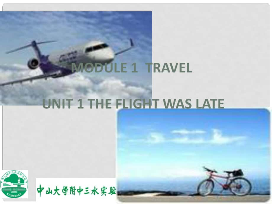 广东省佛山市中大附中三水实验中学九年级英语下册 Module 1 Travel Unit 1 The flight was late课件 外研版_第1页