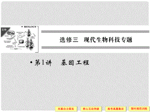 高考生物一輪復(fù)習(xí) 31基因工程課件 教科版選修3