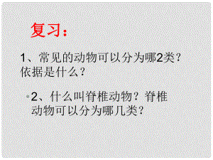 浙江省永嘉縣大若巖鎮(zhèn)七年級(jí)科學(xué) 第四節(jié)第2課時(shí) 常見的動(dòng)物課件 浙教版