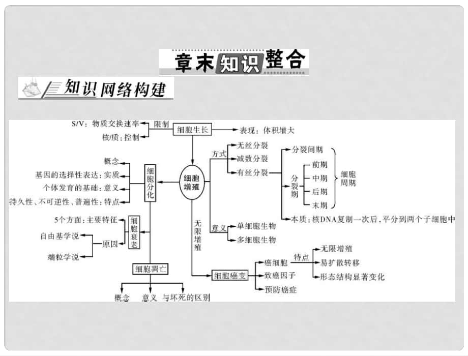 高考生物總復習 第6章 章末知識整合課件 新人教版必修1_第1頁