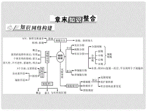 高考生物總復(fù)習(xí) 第6章 章末知識整合課件 新人教版必修1