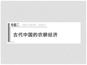 高考?xì)v史大二輪 專題復(fù)習(xí)與增分策略（考點(diǎn)排查+考向例析+考題預(yù)測+原創(chuàng)設(shè)計(jì)+13年真題為例）專題二 古代中國的農(nóng)耕經(jīng)濟(jì)課件 新人教版