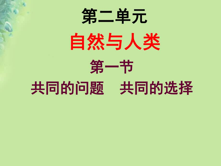 九年級道德與法治上冊 第二單元 關(guān)愛自然 關(guān)愛人類 第一節(jié) 共同的問題 共同的選擇 湘教版_第1頁