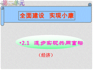 九年級思品全冊 第二單元 第一課 逐步實現(xiàn)共同富裕課件 粵教版