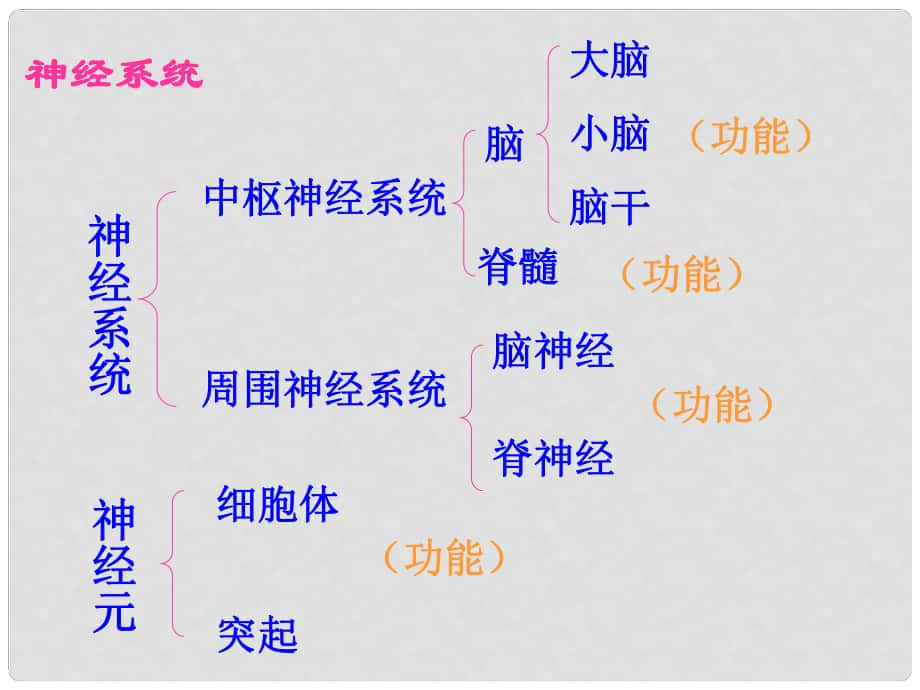 湖北省武漢市為明實驗學(xué)校七年級生物下冊 第六章《第三節(jié) 神經(jīng)調(diào)節(jié)的基本方式》課件 人教新課標(biāo)版_第1頁