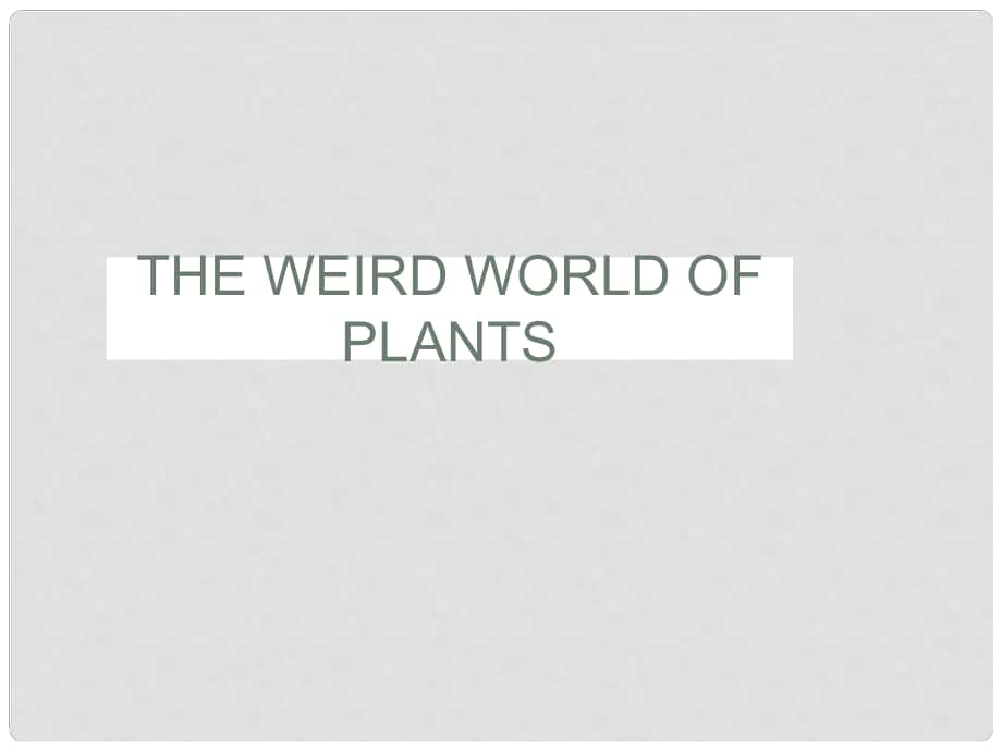 廣東省深圳市九年級英語全冊 Chapter 9 The weird world of plants Reading教學(xué)課件 牛津深圳版_第1頁