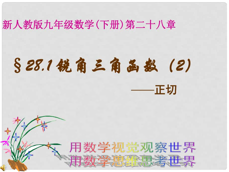 廣東省羅定市黎少中學九年級數(shù)學下冊 28.1 銳角三角函數(shù)（2）課件1 新人教版_第1頁