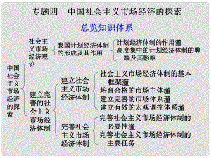 浙江省東陽市高中政治 專題四社會主義經(jīng)濟(jì)理論的初期探討課件 新人教版選修2