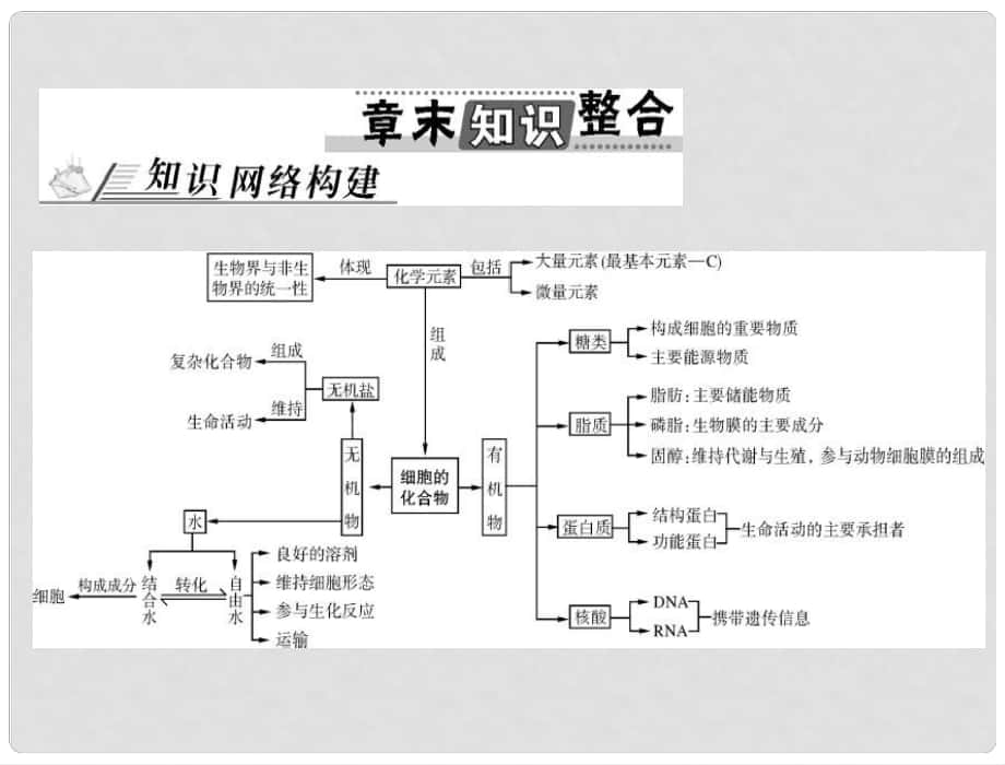 高考生物總復(fù)習(xí) 第2章 章末知識(shí)整合課件 新人教版必修1_第1頁