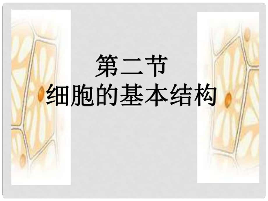 河北省石家莊第十五中學(xué)高二生物 系統(tǒng)內(nèi)的分工合作細(xì)胞器課件_第1頁(yè)