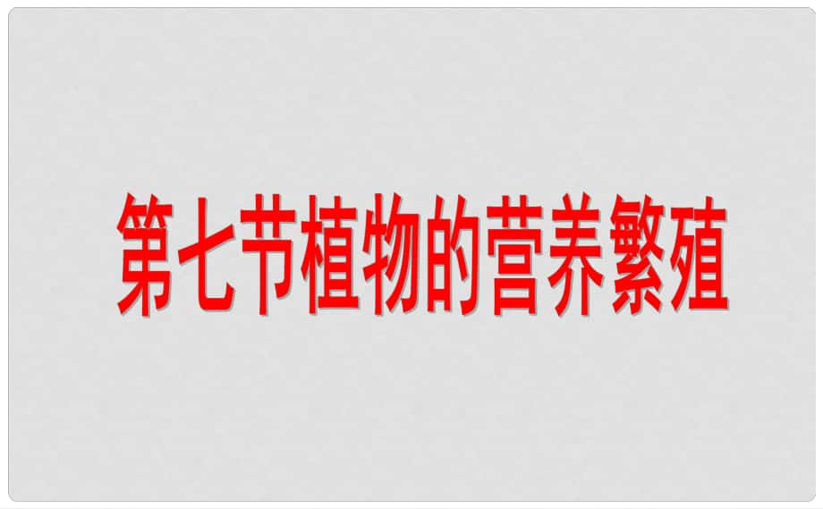 山東省棗莊市嶧城區(qū)吳林街道中學(xué)八年級生物上冊 417 植物的營養(yǎng)繁殖課件 濟(jì)南版_第1頁