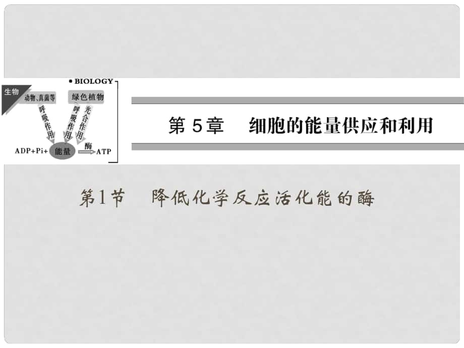 高中生物上篇 第5章 第1節(jié)降低化學反應活化能的酶課件 新人教版必修1_第1頁