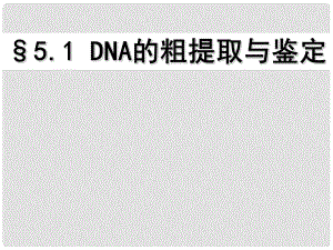 高中生物《第五章 第一節(jié) DNA的粗提取與鑒定》課件 新人教版選修1