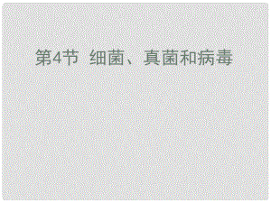 河南省安陽師范學院附屬中學八年級生物下冊《細菌、真菌和病毒》課件 北師大版