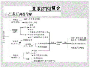 高考生物總復(fù)習(xí) 第3章 章末知識整合課件 新人教版必修1