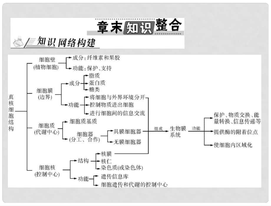 高考生物總復(fù)習(xí) 第3章 章末知識(shí)整合課件 新人教版必修1_第1頁(yè)