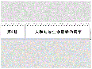 高考生物二輪 三級(jí)排查大提分 第9講 人和動(dòng)物生命課件