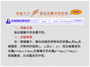 高考物理一輪精細復(fù)習(xí) （必備基礎(chǔ)點撥+高考考點集結(jié)+考點專訓(xùn)）實驗《 驗證動量守恒定律》》課件