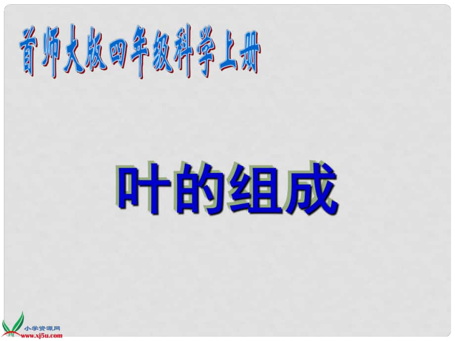 四年级科学上册 叶的组成 3课件 首师大版_第1页