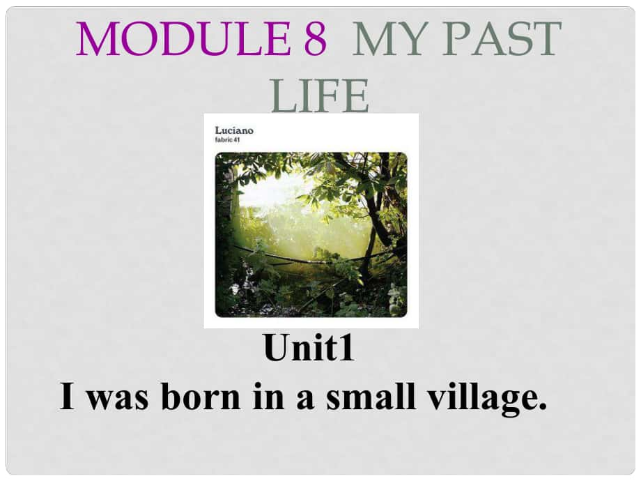 七年級英語下冊 Module 7 My past life Unit 1 I was born in a small village課件 （新版）外研版_第1頁