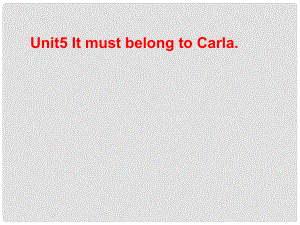 廣西東興市江平中學(xué)九年級(jí)英語全冊 Unit 5 It must belong to Carla！課件3 人教新目標(biāo)版