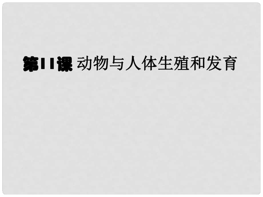 河南省洛阳市第二外国语学校八年级生物下册 第11课 动物与人体生殖和发育课件 新人教版_第1页