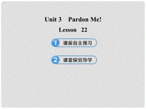 九年級(jí)英語(yǔ)下冊(cè) Unit 3 Pardon Me！Lesson 22課件 冀教版