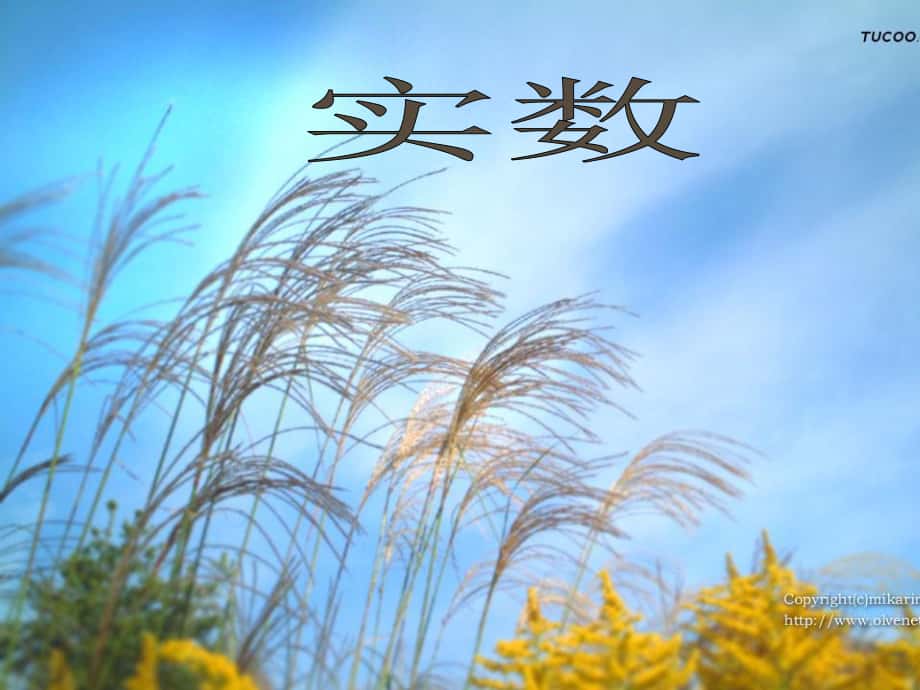 湘教版八年級(jí)數(shù)學(xué)上冊(cè) 實(shí)數(shù)ppt_第1頁