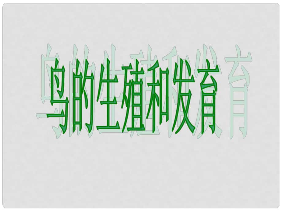 四川省崇州市白頭中學(xué)八年級(jí)生物上冊(cè) 鳥的生殖和發(fā)育課件 濟(jì)南版_第1頁