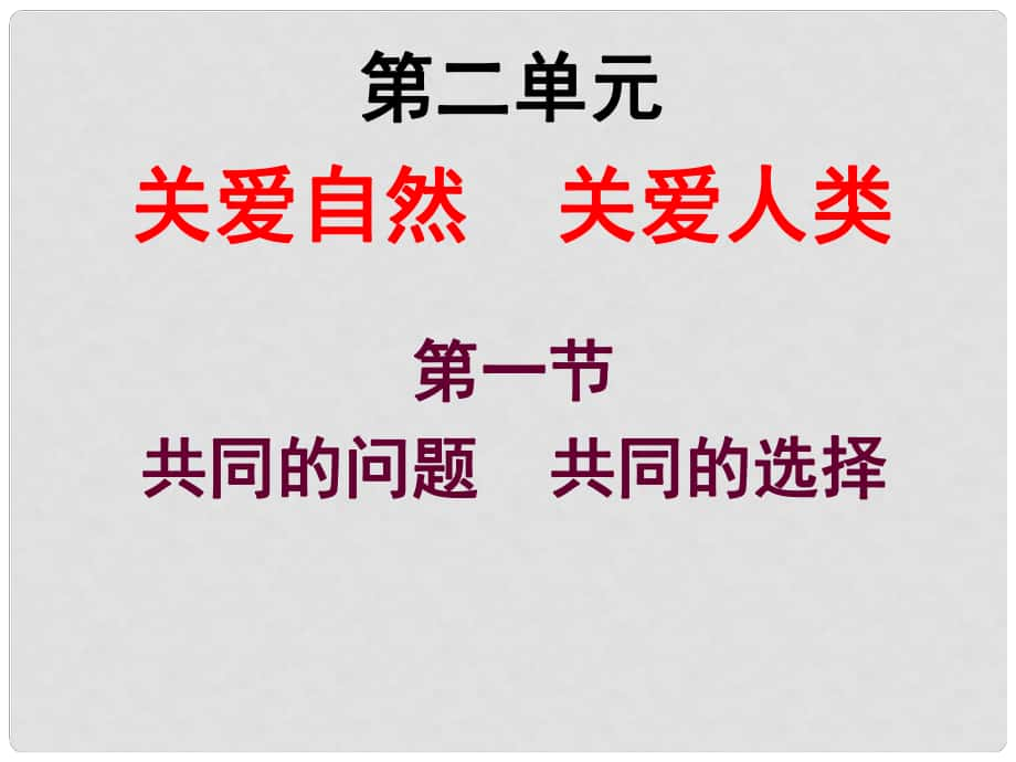 九年级政治全册 第2单元 第2节 共同的问题 共同的选择课件2 湘教版_第1页