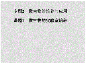 高中生物 專題二 課題1 微生物的實(shí)驗(yàn)室培養(yǎng)課件 新人教版選修1