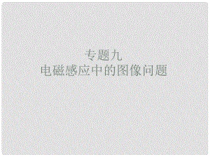 浙江省溫州市甌海區(qū)三溪中學高考物理專題復習 6專題電磁感應的圖像問題課件 新人教版