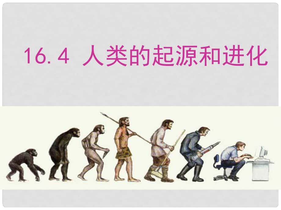 江苏省南京市长城中学八年级生物上册 16.4 人类的起源和进化课件 （新版）苏教版_第1页