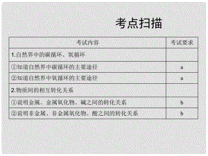 浙江省溫州市龍灣區(qū)實驗中學(xué)中考科學(xué)總復(fù)習(xí) 物質(zhì)間的循環(huán)與轉(zhuǎn)化課件