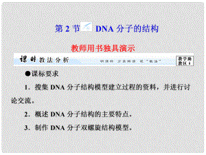 高中生物 第3章 第2節(jié) DNA的分子結(jié)構(gòu)課件 新人教版必修2