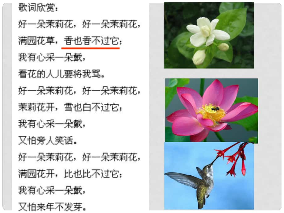 湖北省孝感市七年級(jí)生物上冊(cè) 花的結(jié)構(gòu)課件 北師大版_第1頁