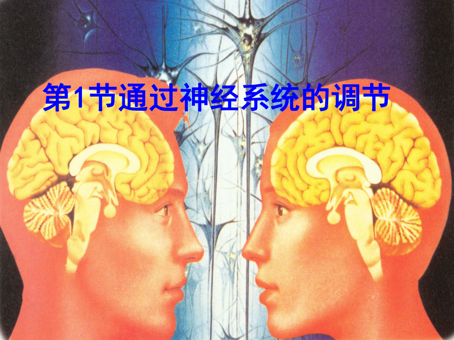 江蘇省宿遷市馬陵中學高考生物專題復習 通過神經(jīng)系統(tǒng)的調(diào)節(jié)課件_第1頁