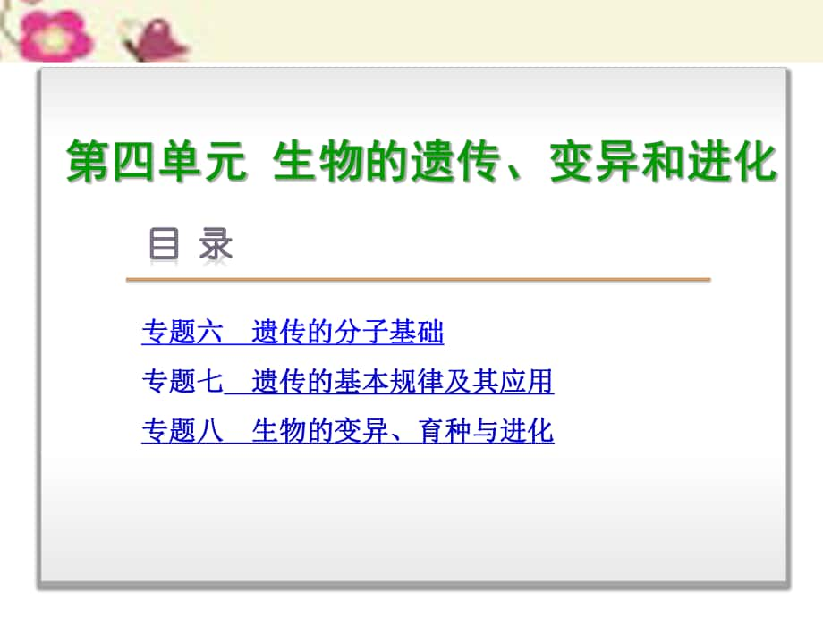 高考生物二轮复习 专题讲练 第4单元 生物的遗传、变异和进化 6 遗传的分子基础课件_第1页